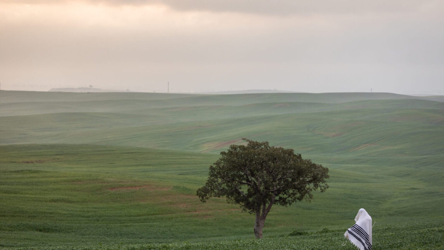 A man covers himself with a prayer shawl while praying near a lone tree in a field in Ruhama Badlands, southern Israel on February 16, 2020. Photo by Aharon Krohn/Flash90