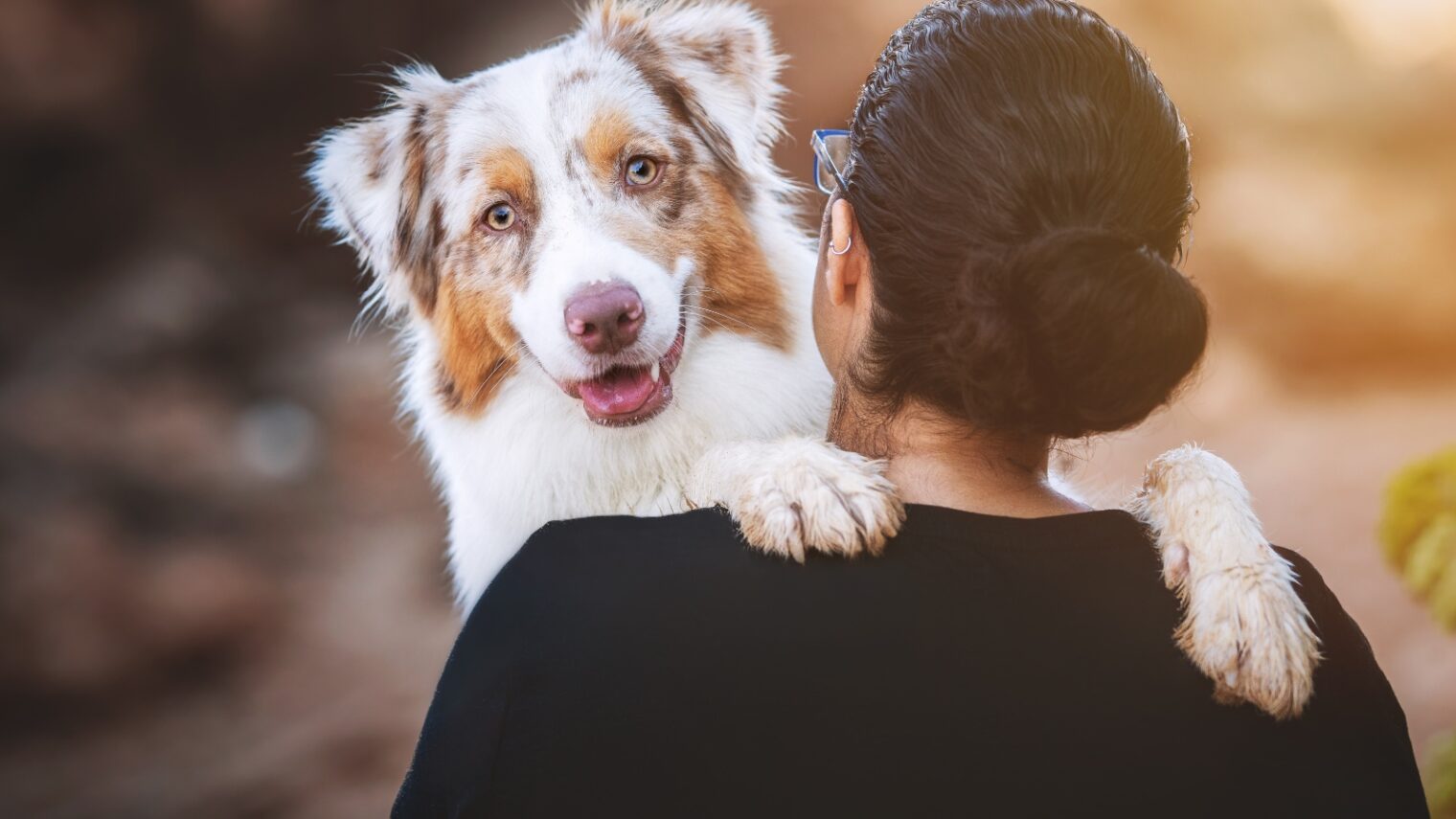 An Australian shepherd named Pupik shares a hug with her owner on Michmoret Beach. Photo by Elinor Roizman/Dog-ma Photography