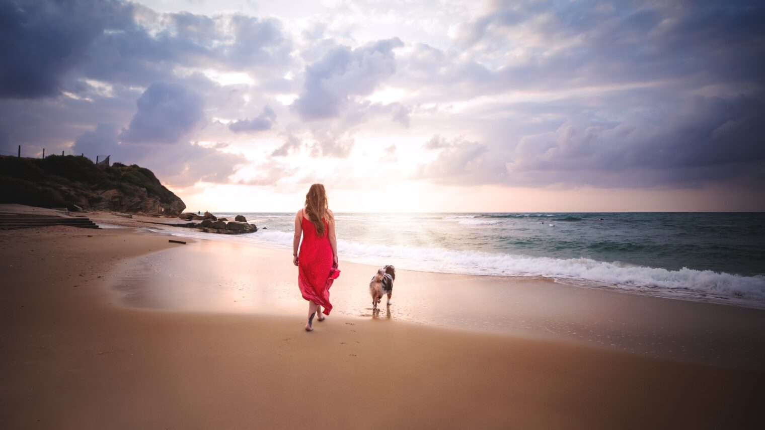Cooper, an Australian shepherd, enjoys a sunset walk on Palmachim Beach with his owner. Photo by Elinor Roizman/Dog-ma Photography