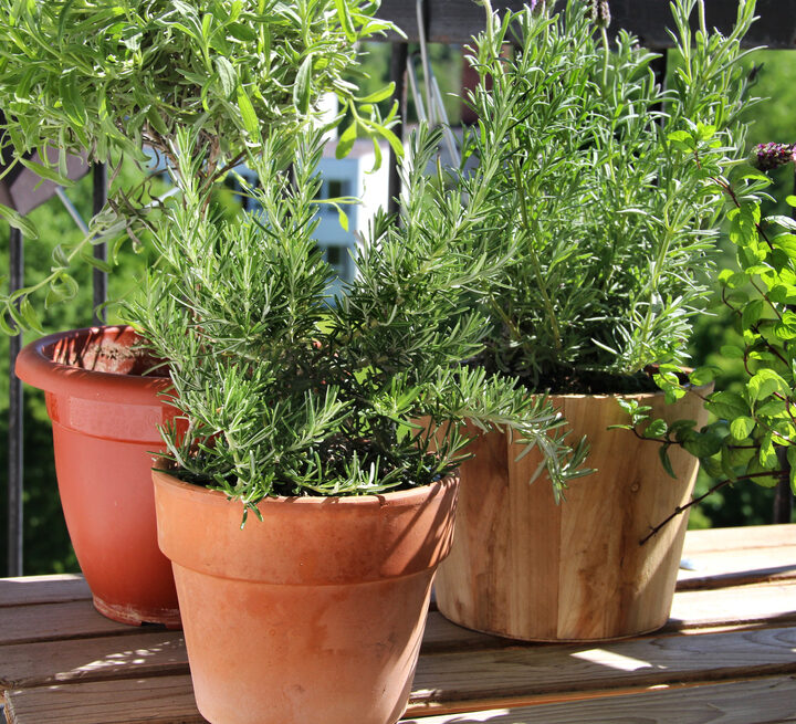 It's easy to turn a balcony or porch into a herb garden. Photo via Shutterstock