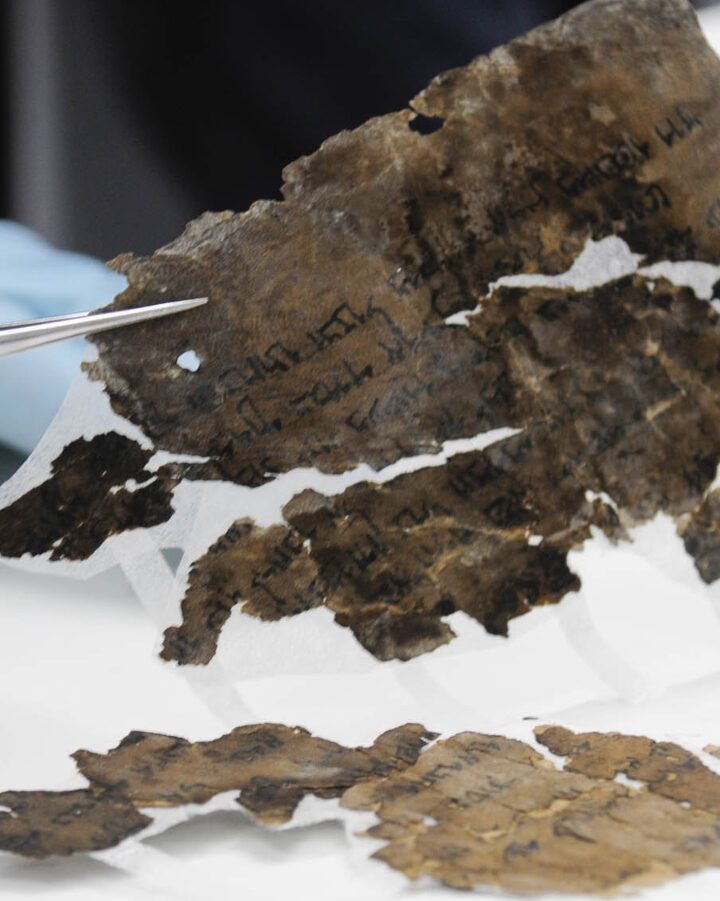 A Dead Sea Scroll fragment. Photo by Shai Halevi/Israel Antiquities Authority