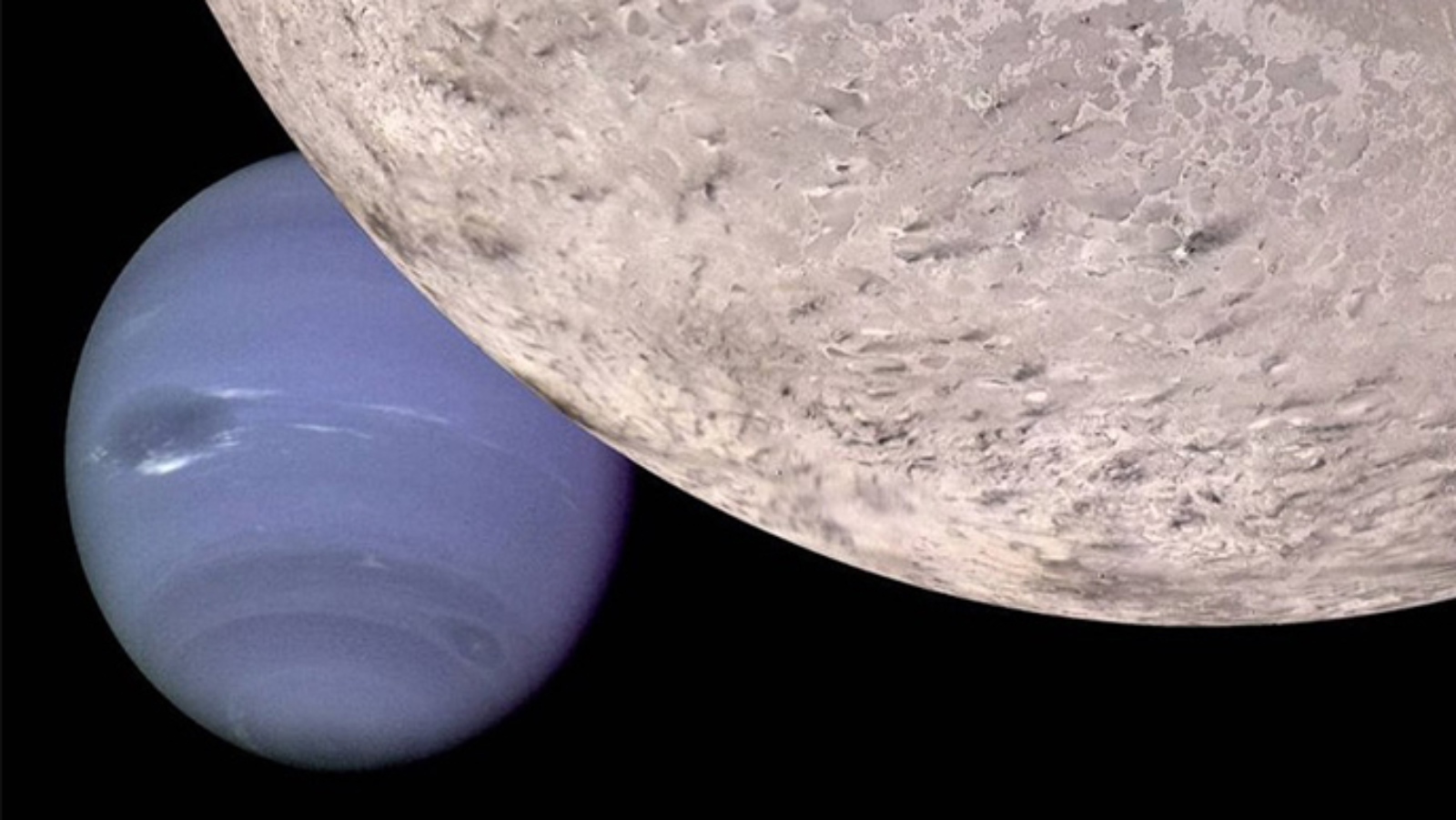 Artist's illustration of Neptune seen from beyond Triton. Image courtesy of NASA