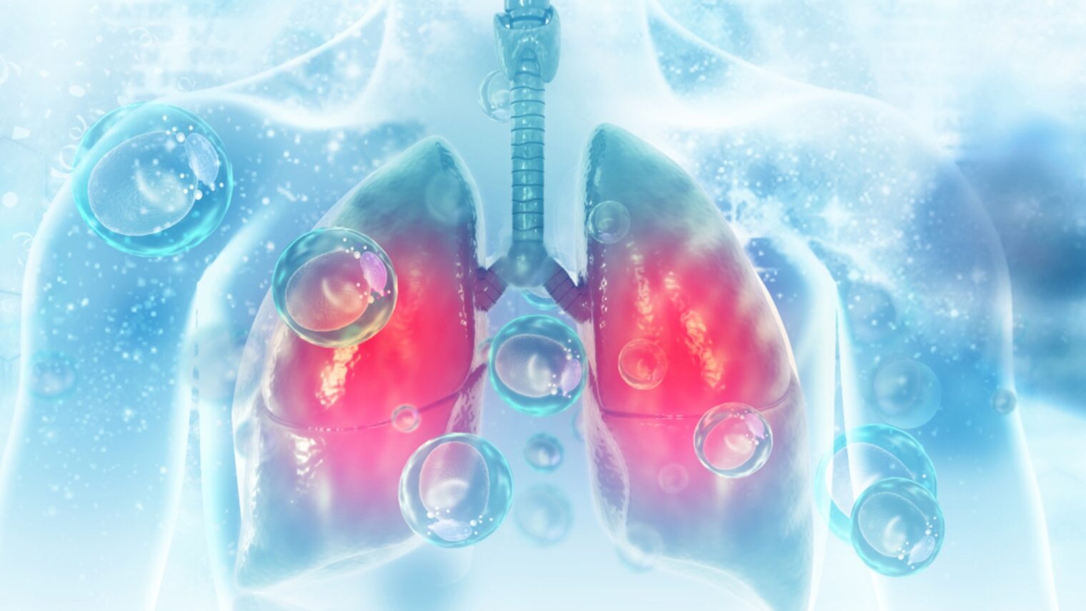 Photo illustration of lungs by Crystal Light via Shutterstock.com