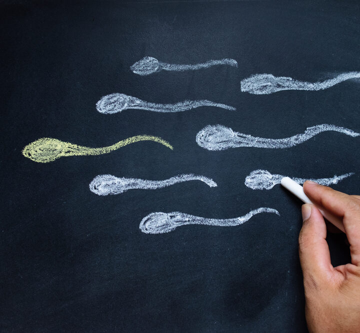 Under natural fertilization, the fastest sperm to reach an egg is supposed to bear high-quality genetic material. Photo by PiyaKunkayan/Shutterstock.com