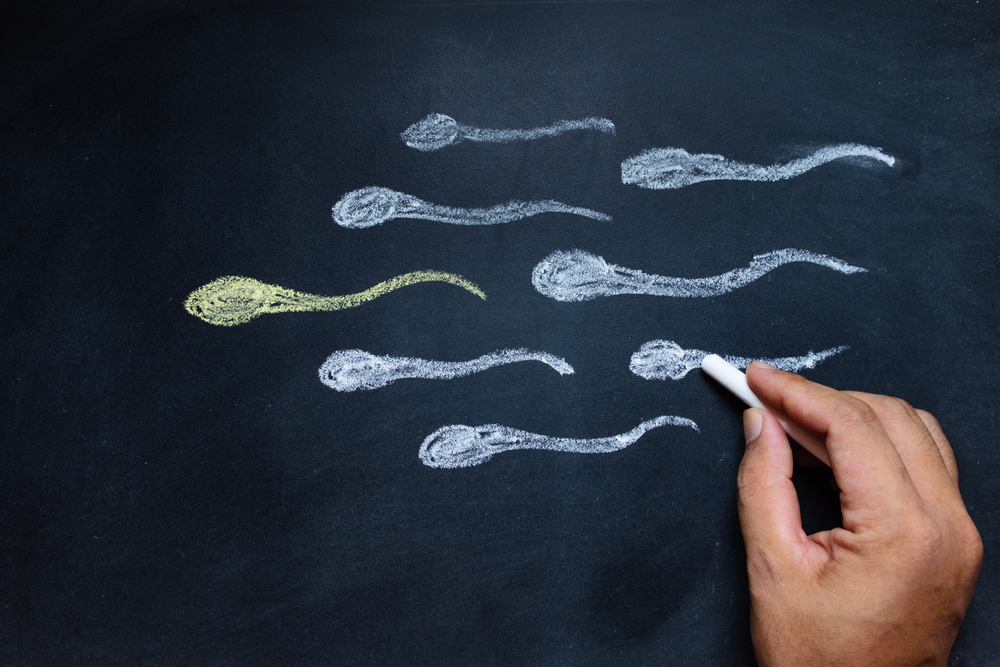 Under natural fertilization, the fastest sperm to reach an egg is supposed to bear high-quality genetic material. Photo by PiyaKunkayan/Shutterstock.com