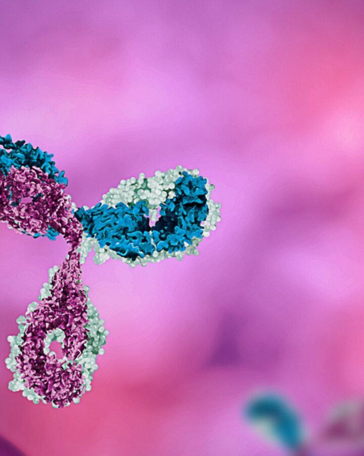 Antibody 3D art by Mirror Images via Shutterstock.com