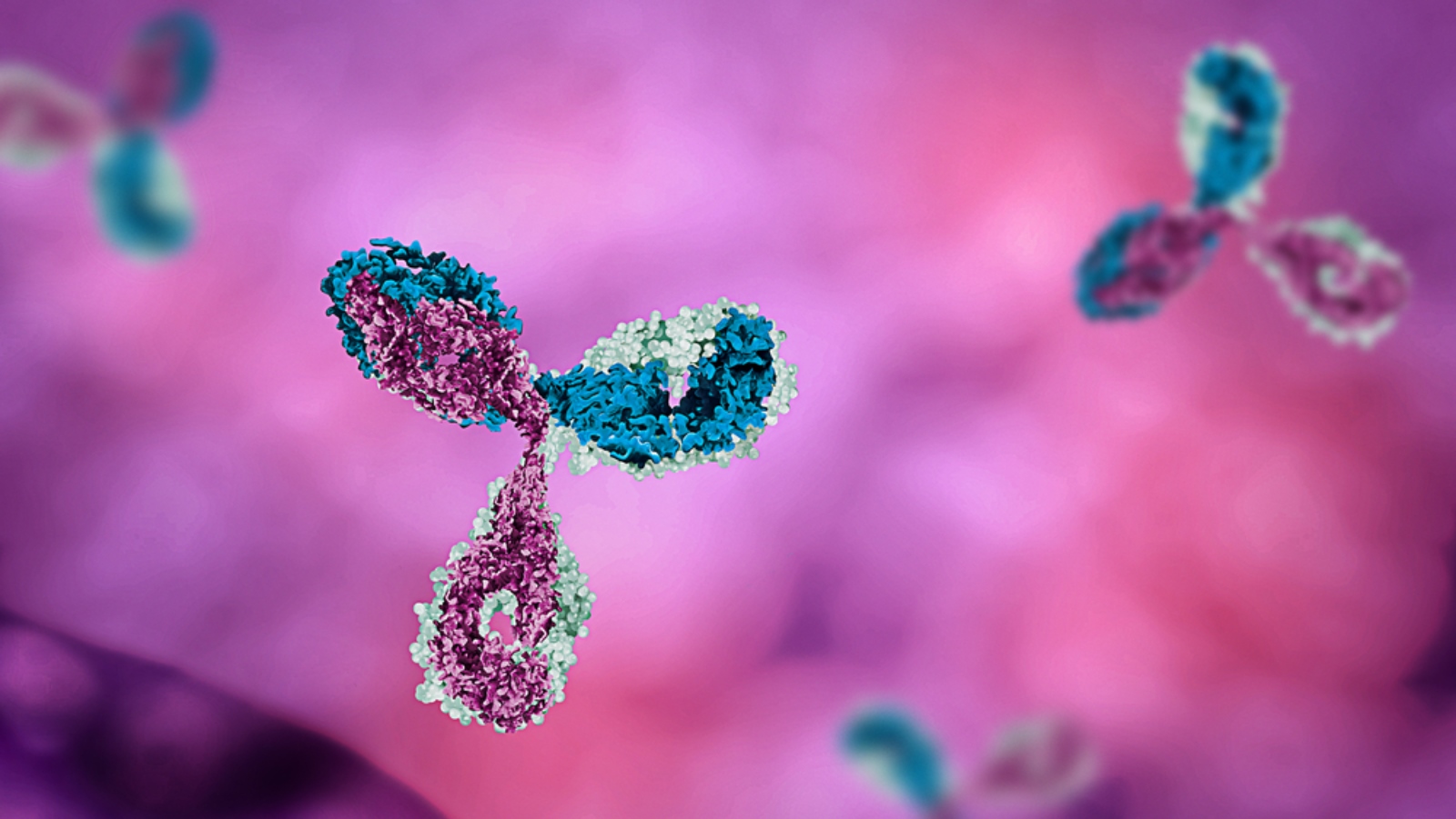 Antibody 3D art by Mirror Images via Shutterstock.com