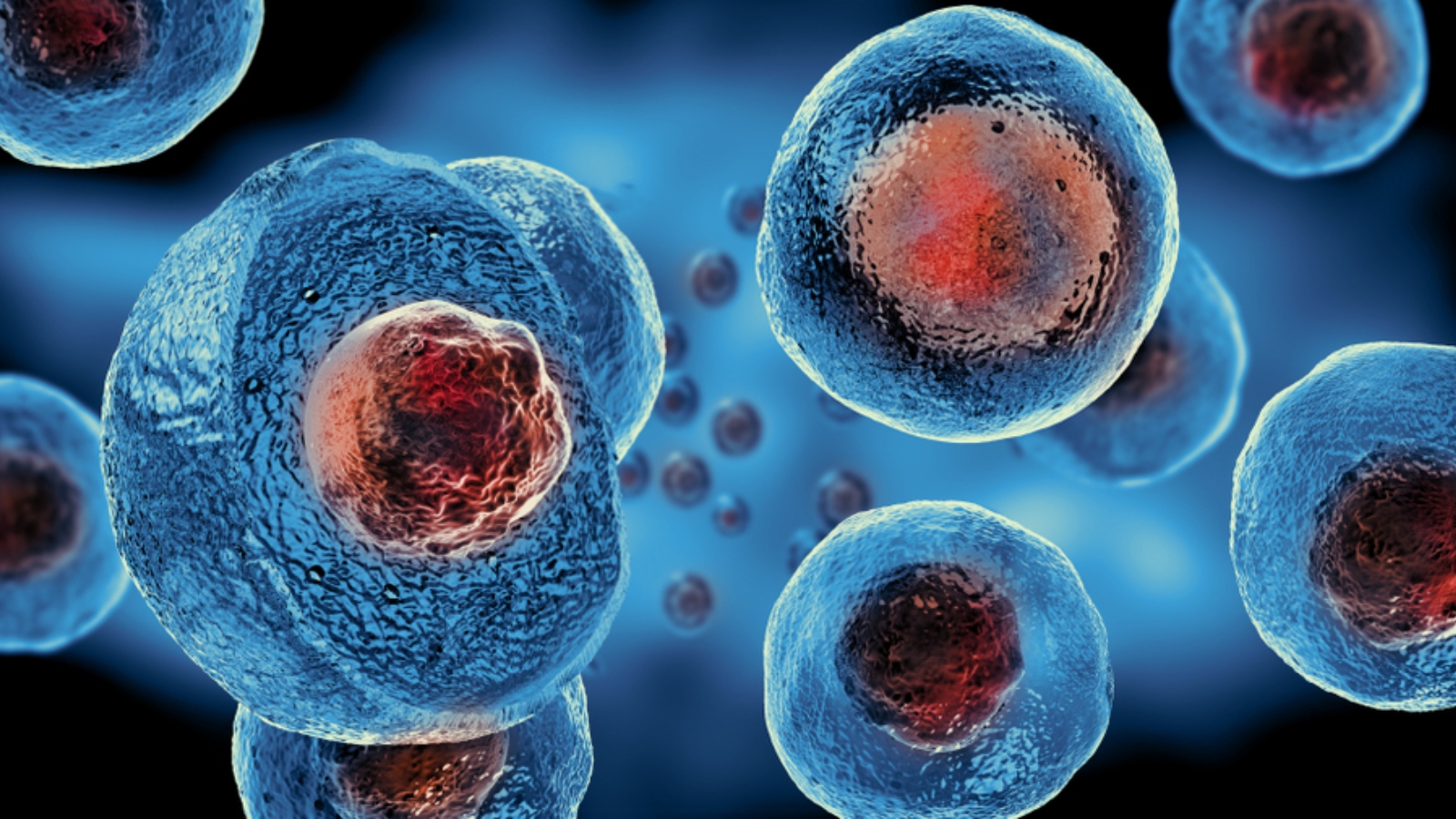 Pluristem uses cells derived from placenta for the development of product candidates for the treatment of medical conditions. Image by Giovanni Cancemi/Shutterstock.com