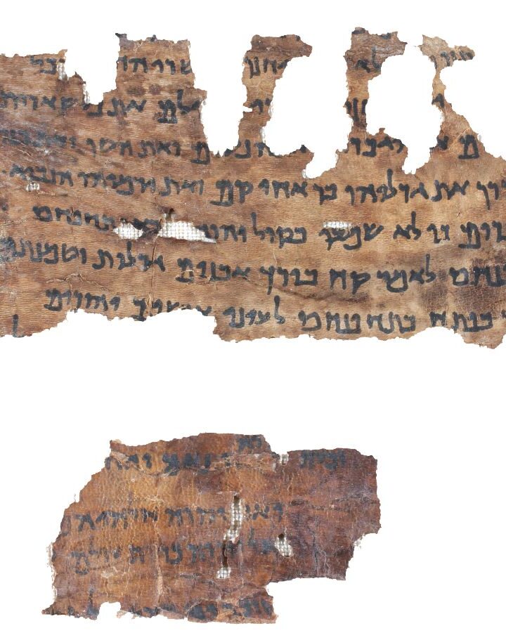 A Book of Jeremiah scroll that was given DNA treatment to uncover new findings. Photo by Shai Halevi/Israel Antiquities Authority