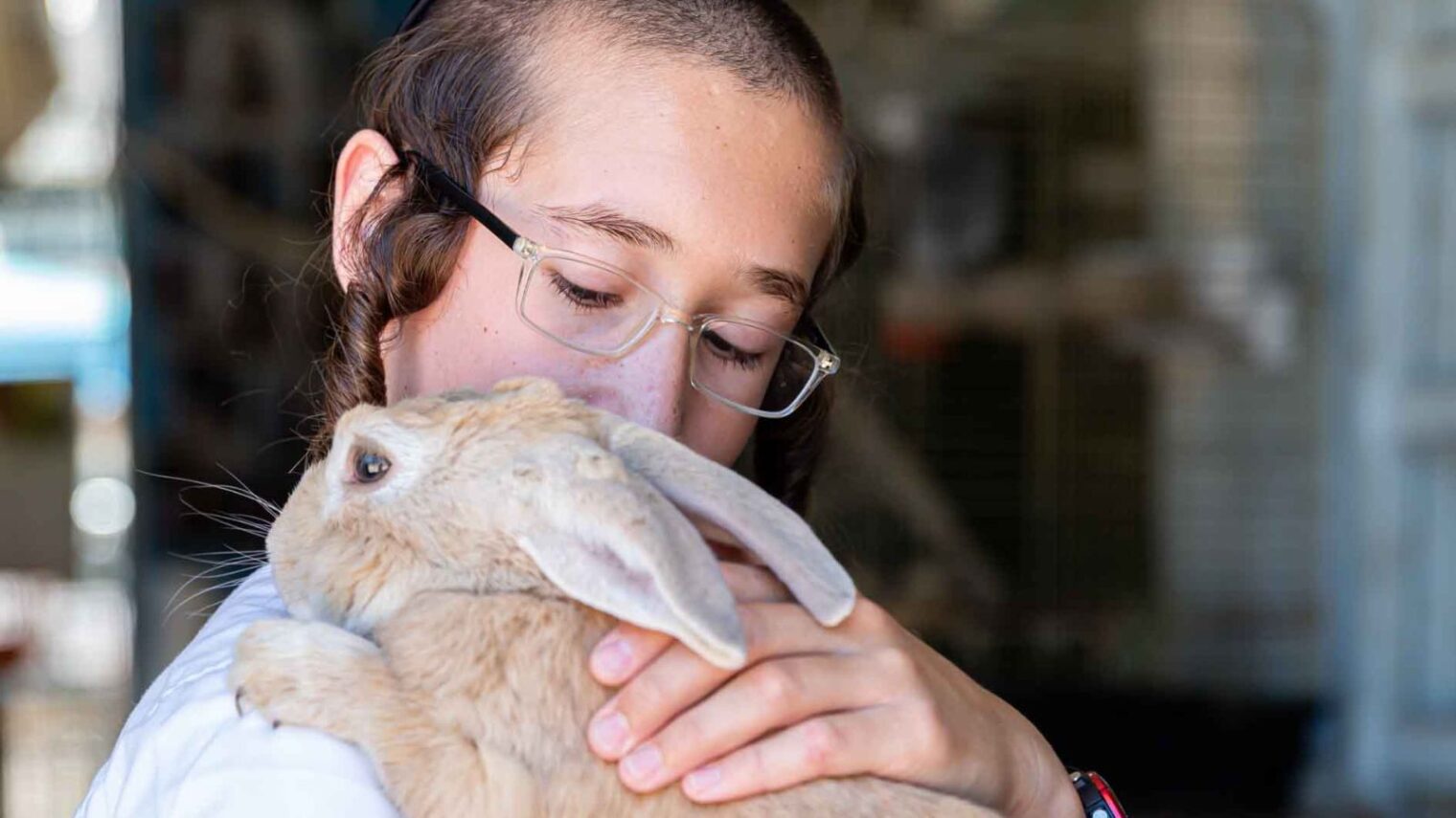 A boy cuddles a rabbit at the Ohel Dov yeshiva’s one-of-a-kind petting zoo. Photo by Osnat Edri