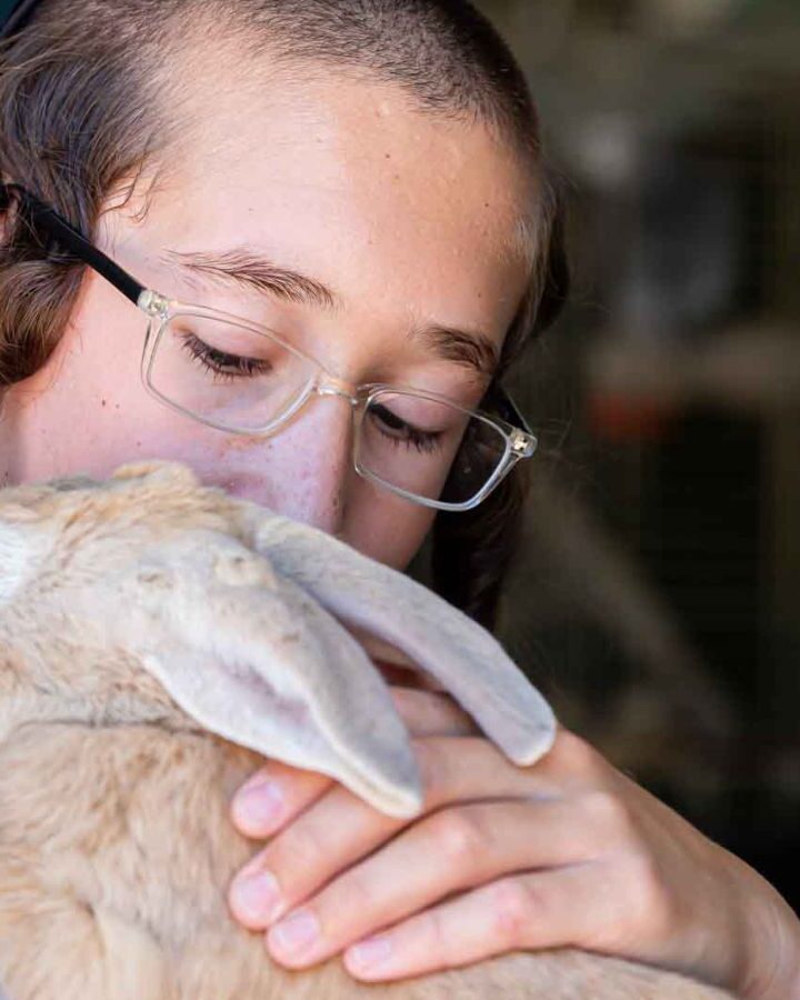 A boy cuddles a rabbit at the Ohel Dov yeshiva’s one-of-a-kind petting zoo. Photo by Osnat Edri