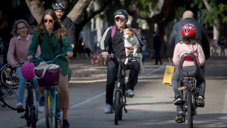 Riding electric bicycles on Rothschild Boulevard in Tel Aviv, January 15, 2020. Photo by Miriam Alster/FLASH90