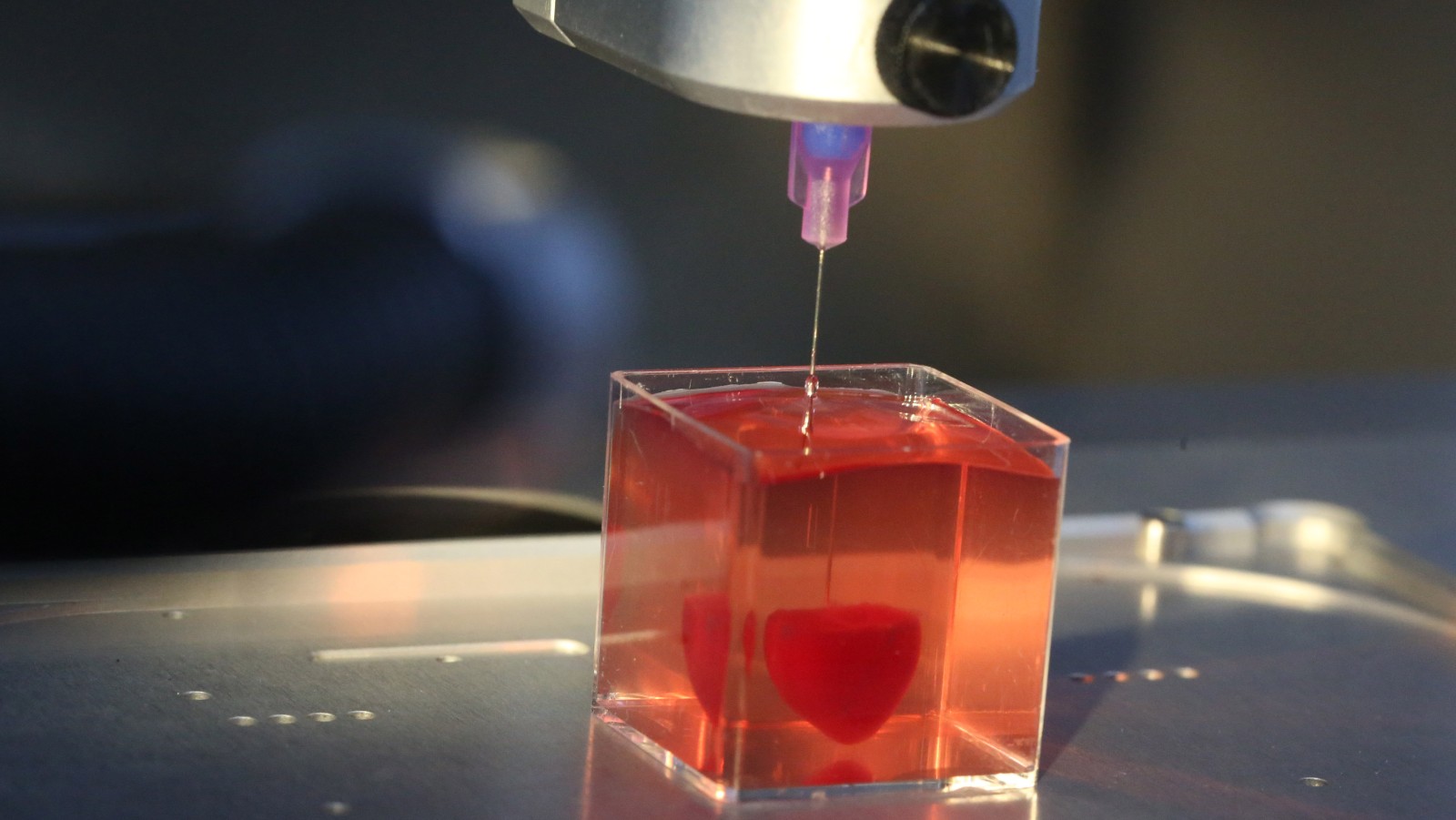 View of the first 3D-printed vascularized engineered heart in Prof. Tal Dvir’s laboratory in the Tel Aviv University. Photo by Flash90