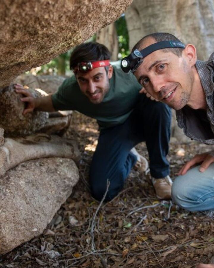 PhD candidate Ido Rog, left, and tree expert Dr. Tamir Klein dig deep for answers. Photo courtesy of Weizmann Institute of Science