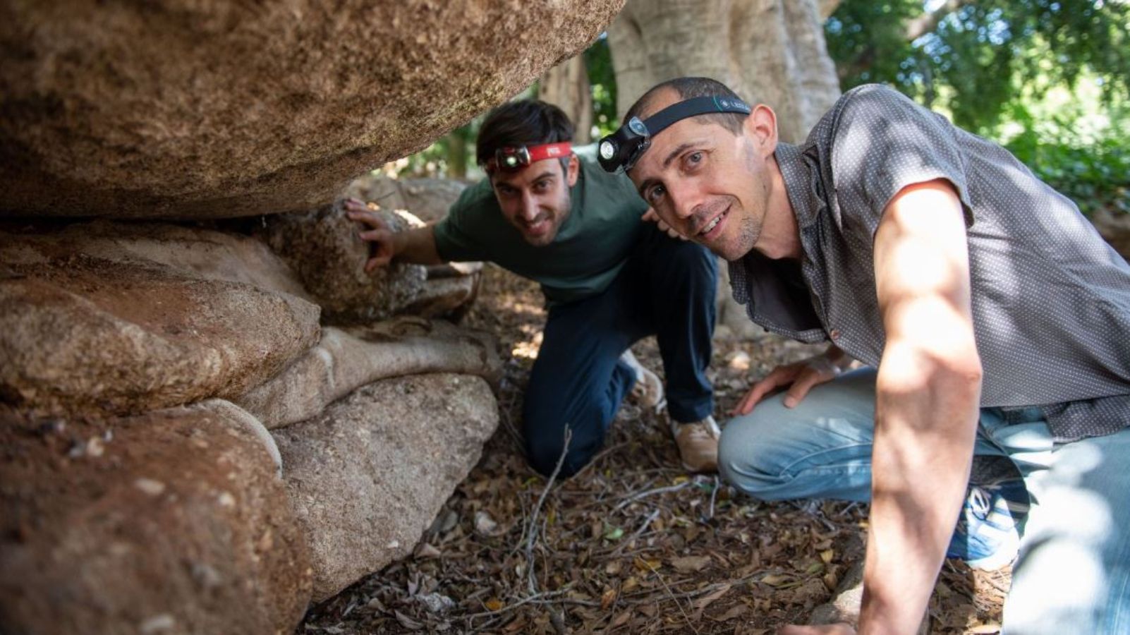 PhD candidate Ido Rog, left, and tree expert Dr. Tamir Klein dig deep for answers. Photo courtesy of Weizmann Institute of Science