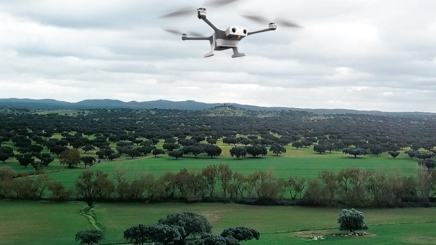 Percepto’s Sparrow drone over a solar farm. Photo: courtesy