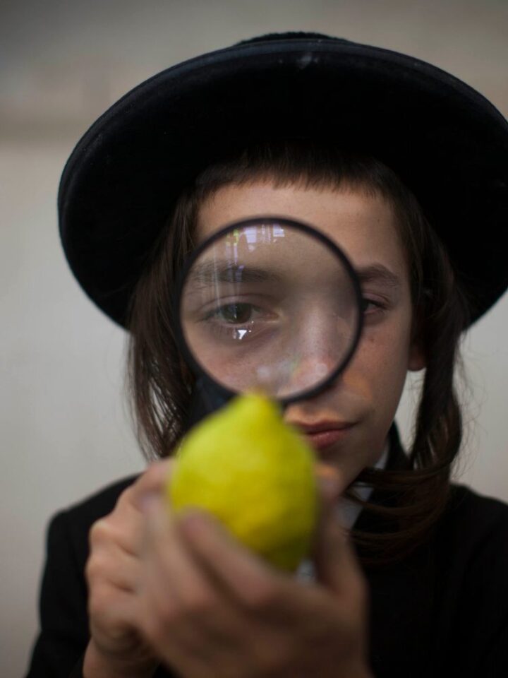 A boy inspects an etrog for blemishes. Photo by Yonatan Sindel/Flash90