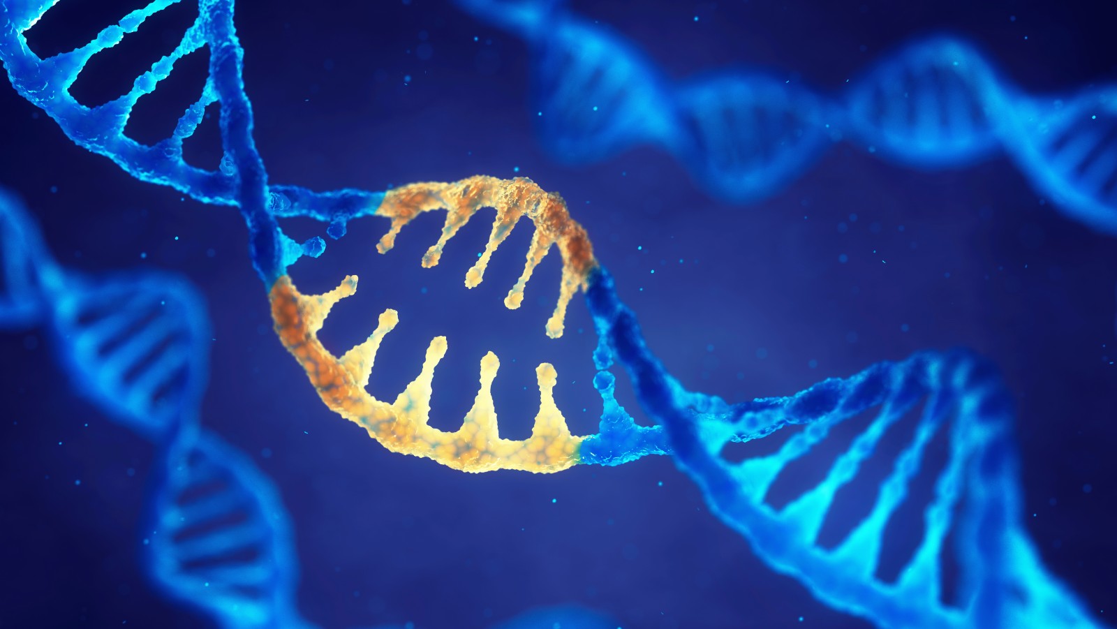 Illustration of mutated gene via Shutterstock.com