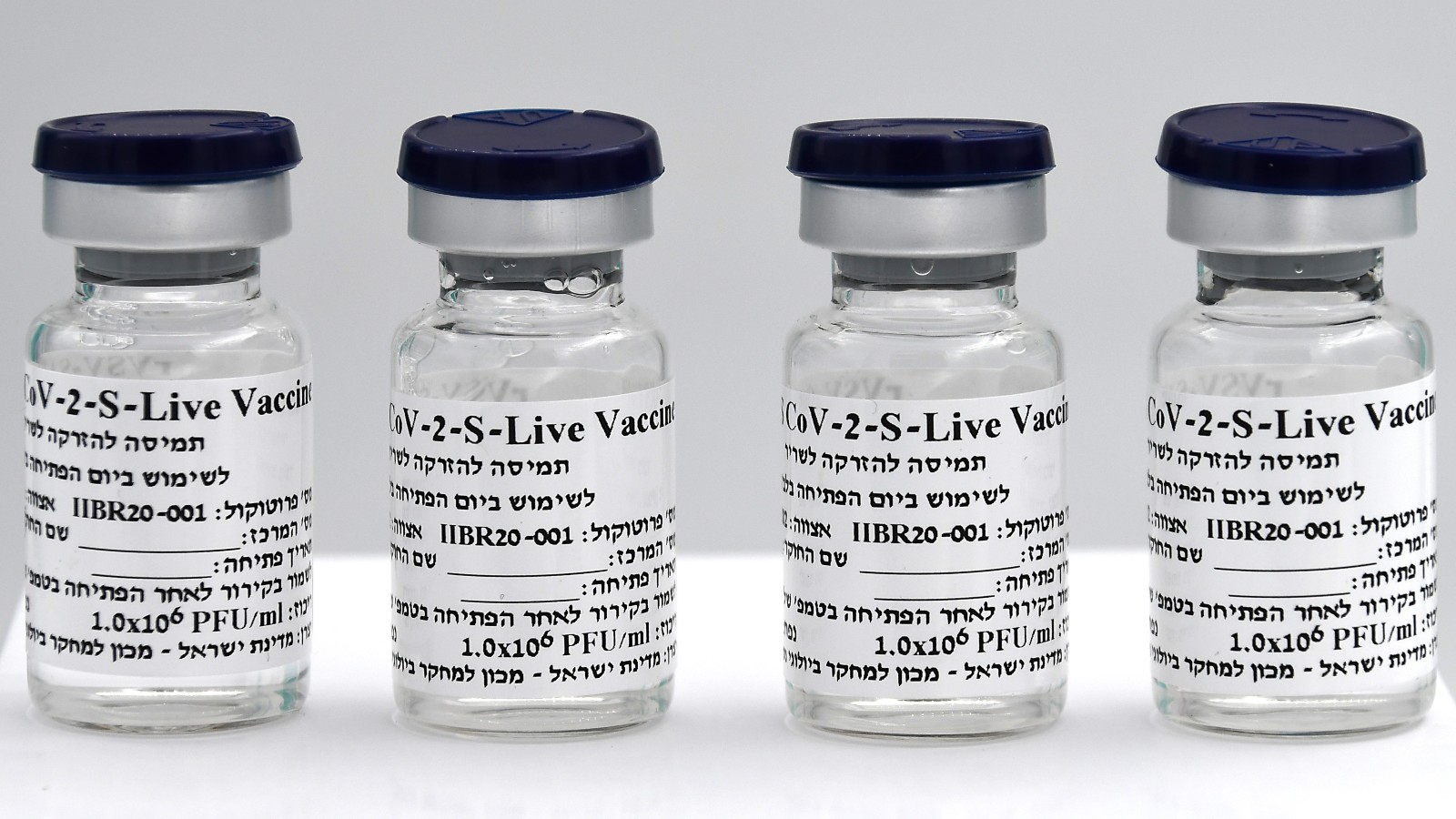 Vials of the experimental Covid-19 vaccine from the Israel Institute for Biological Research. Photo courtesy of the Ministry of Defense Israel Institute for Biological Research in Ness Ziona. Photo courtesy of the Ministry of Defense Spokesperson's Office
