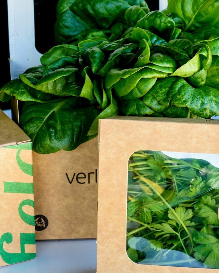 These boxes of Vertical Field greens say, “Grown and picked here and now,” because they are raised on the supermarket premises. Photo courtesy of Vertical field