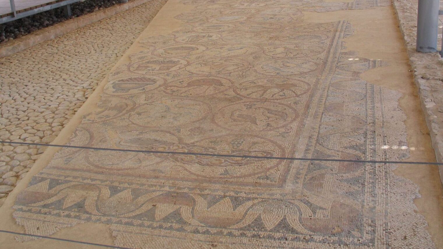 The sixth century Maon Synagogue in the Negev Desert boasted a huge mosaic of a grapevine that loops across the floor, with each loop encircling figures of animals and fruit. The mosaic also has a few Jewish images such a menorah, shofar and etrog. A copy of part of this mosaic hangs at the President’s Residence in Jerusalem. Photo by Bukvoed/Wikimedia Commons