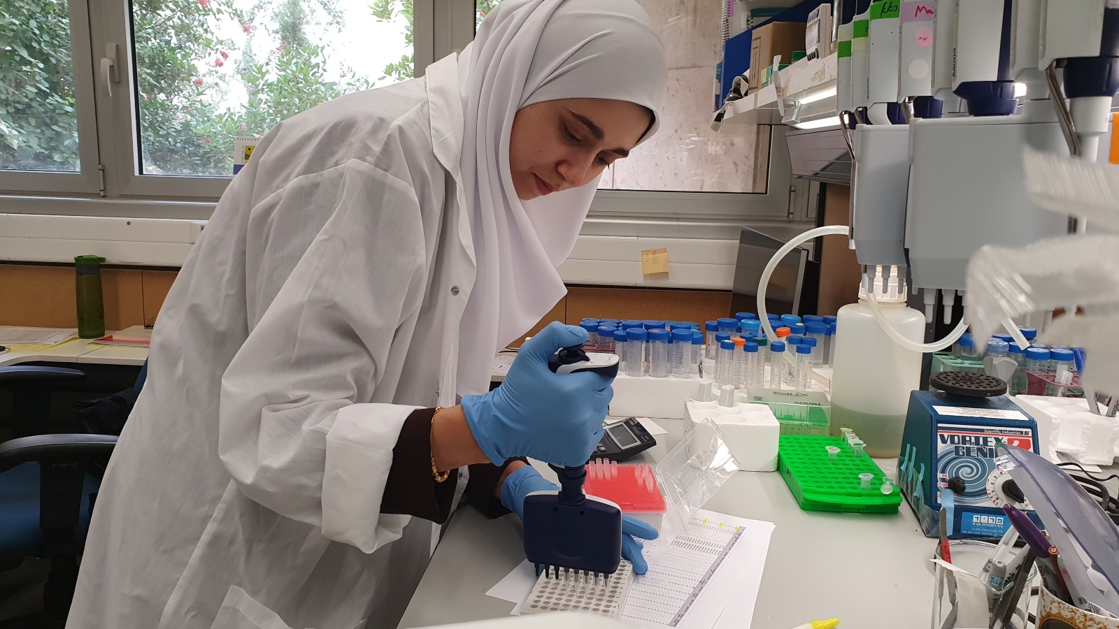 Israa Sharkia preparing blood samples for DNA sequencing. Photo courtesy of Hebrew University of Jerusalem