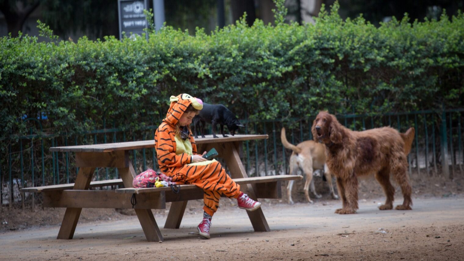 Scene at a dog park in Tel Aviv, March 1, 2021. Photo by Miriam Alster/FLASH90