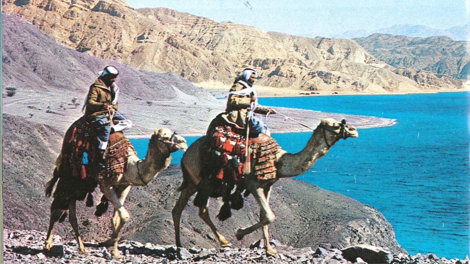 Bedouin riders at the Gulf of Eilat, as captured by Clinton Bailey. Photo courtesy of Clinton Bailey