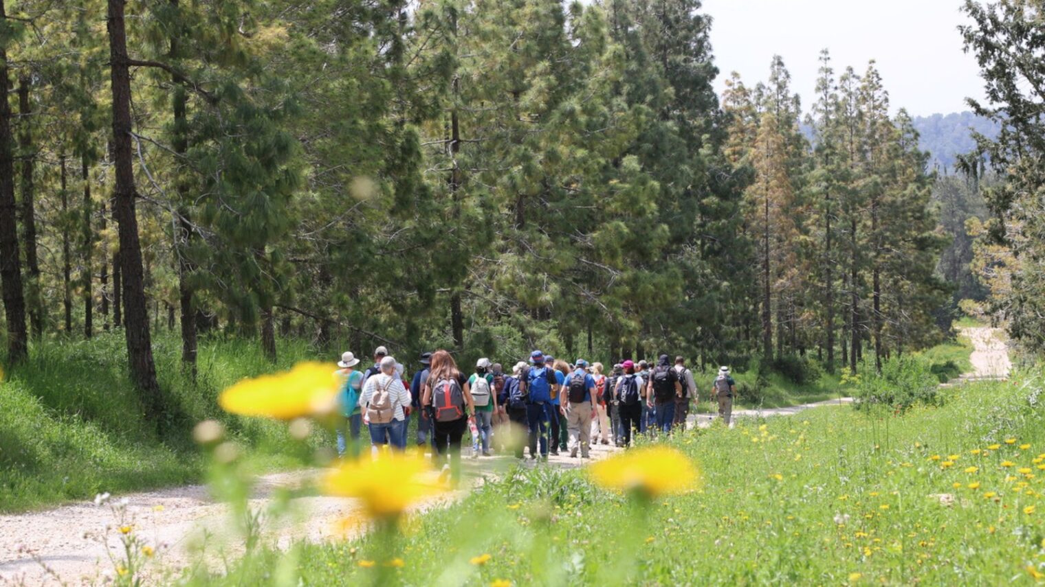 Hikers along the Emmaus Trail. Photo Saxum Ltd (CC)/Gabriela Kustner