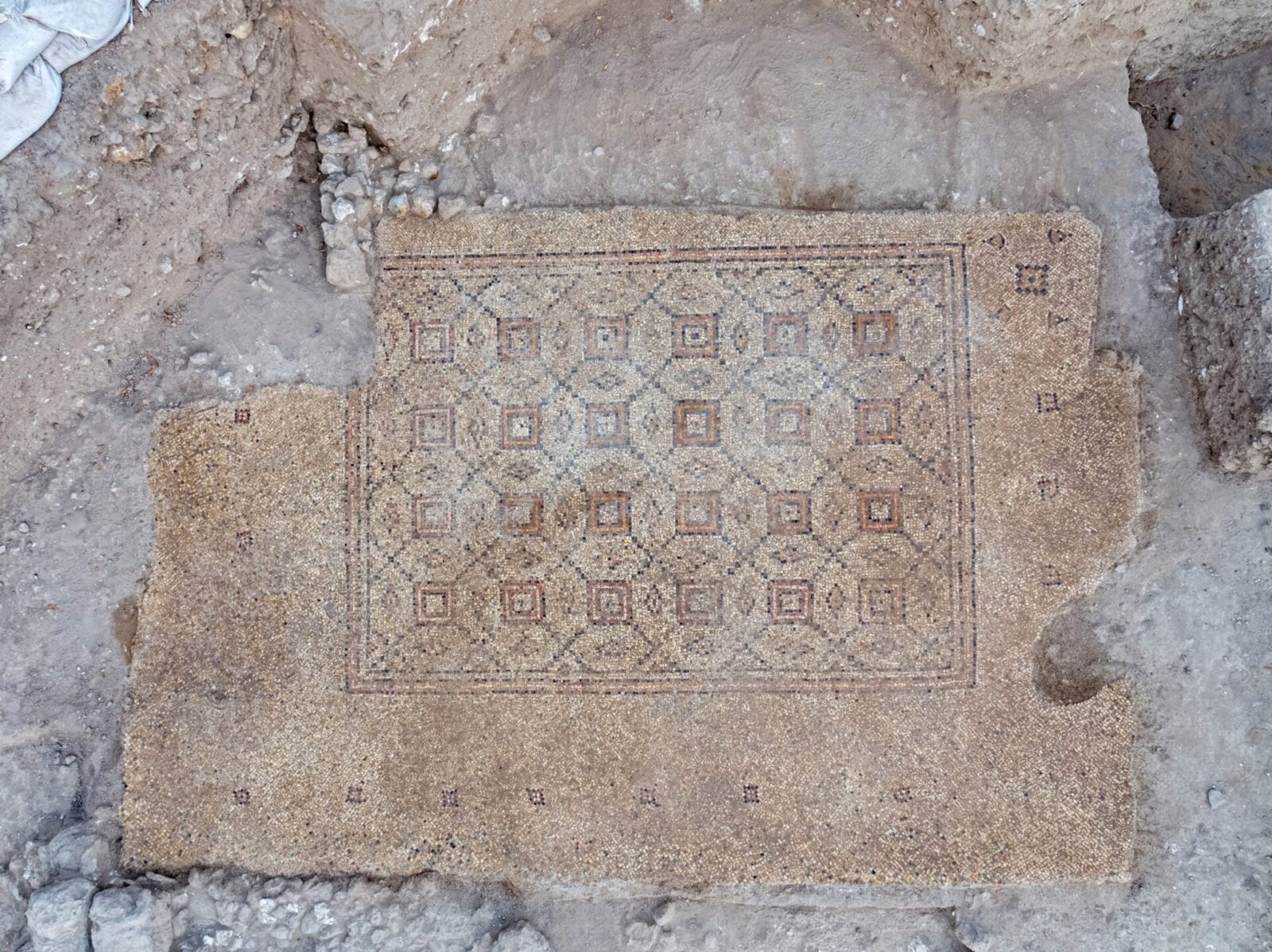 The 1,600 year old mosaic discovered near Tel Yavne. Photo by Assaf Peretz, Israel Antiquities Authority