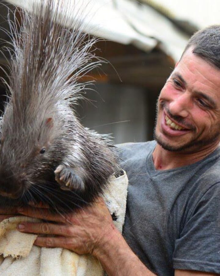 Avihu Sherwood from For the Wildlife shares a happy moment with a rescued porcupine. Photo courtesy of For the Wildlife