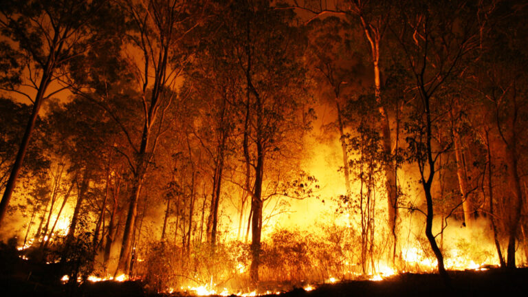 The forest fire in Cyprusâ€™ Troodos Mountains region has claimed the lives of four people. Photo by Peter J. Wilson via Shutterstock.com