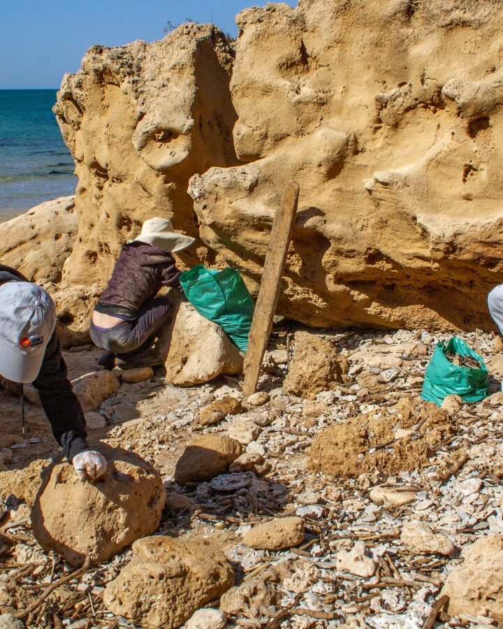 Volunteers cleaning up Gan Or beach in Israel. Photo by Flash90