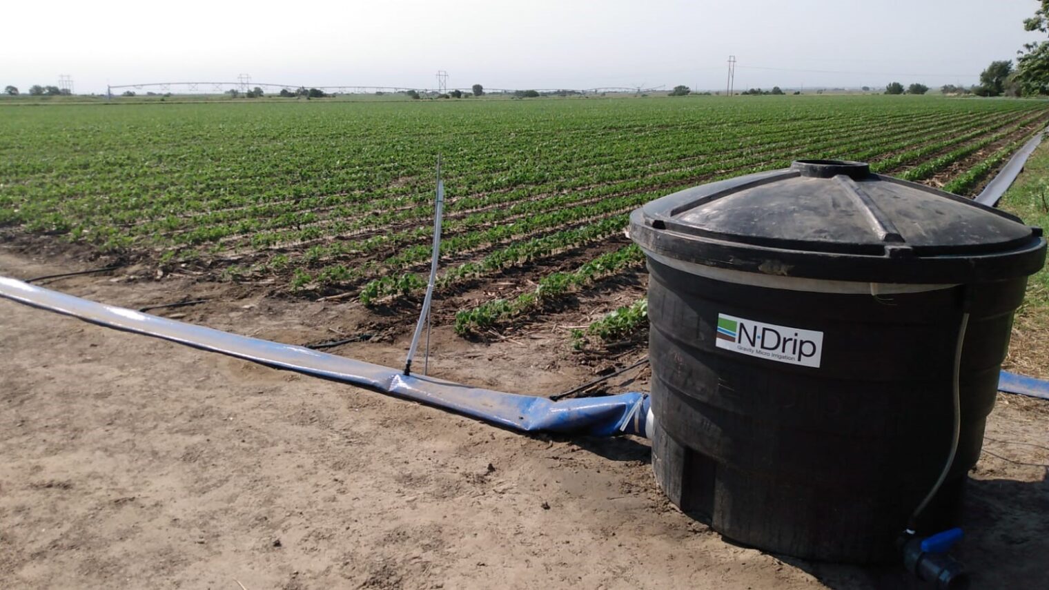 N-Drip’s system irrigating a Nebraska soybean field. Photo courtesy of N-Drip