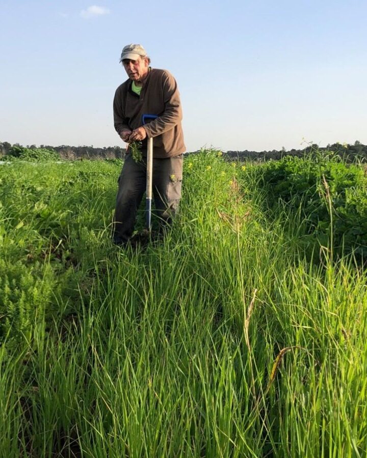 Ben Rosenberg will let his organic farm rest during the sabbatical year. Photo courtesy of Benâ€™s Farm
