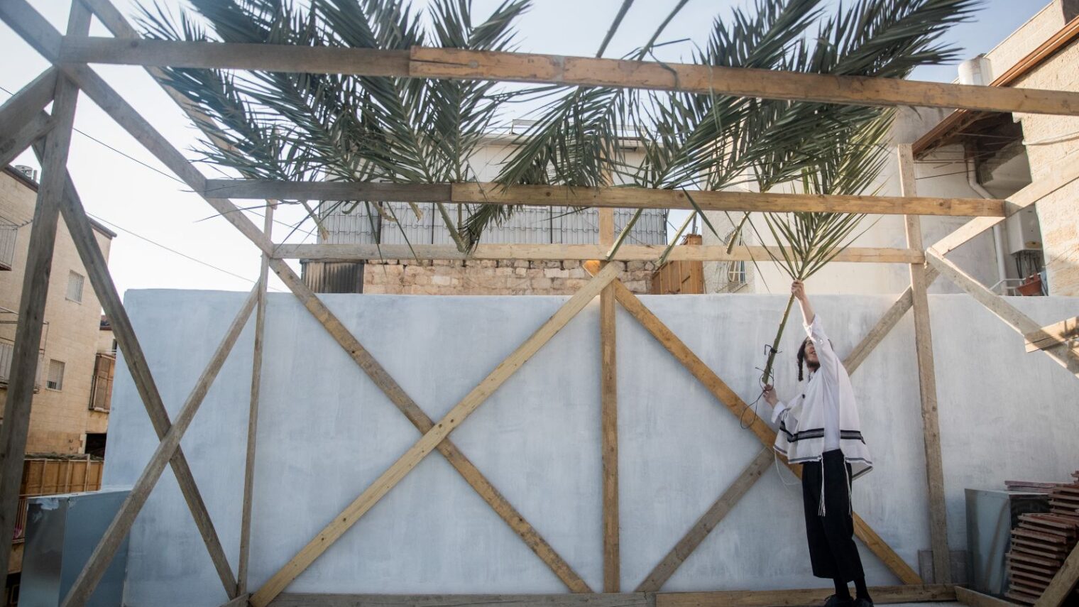Sukkot, with their vegetation roofs and fluttering walls, present the perfect opportunity to practice a little environmental awareness. Photo by Yonatan Sindel/Flash90