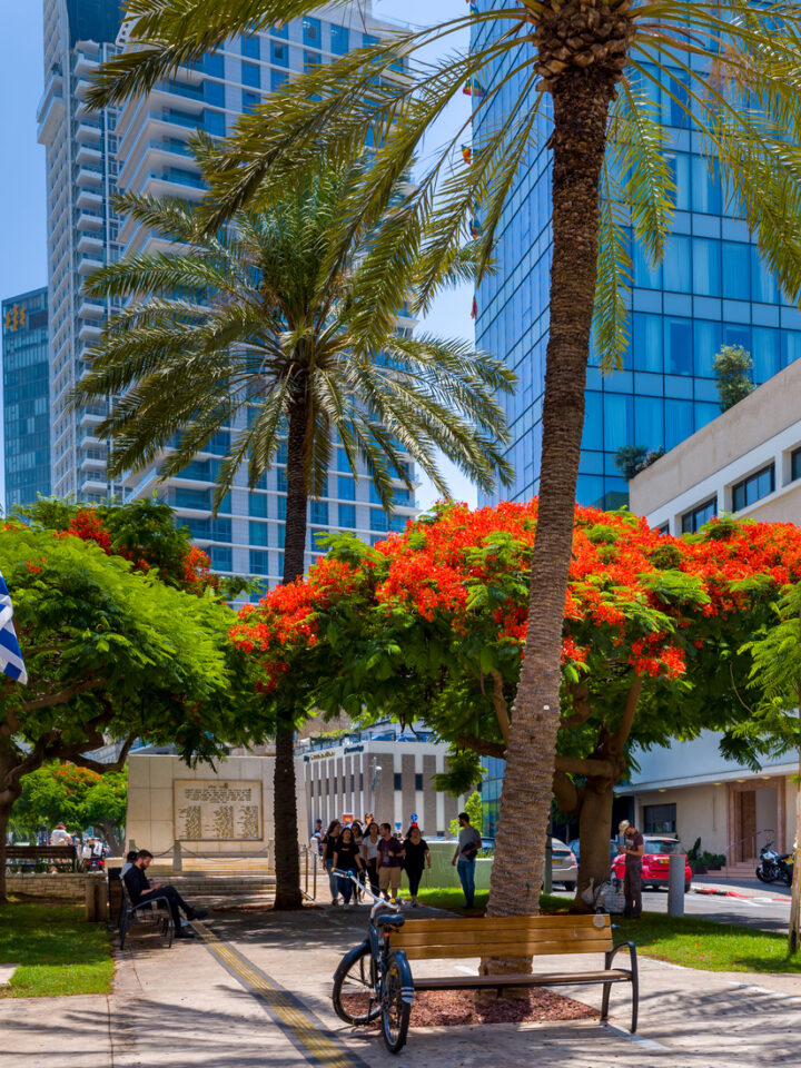 Rothschild Boulevard is one of Tel Aviv's most famous streets, and with good reason. Photo by Boris-b, Shutterstock