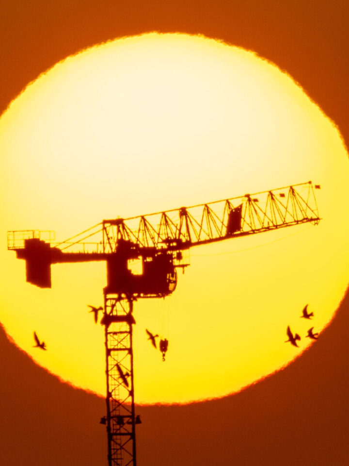 Covid, or no Covid, Israel's construction industry carries on at wharp speed. Cranes like this in Jerusalem, can be spotted up and down the country. Photo taken September 1, 2021 by Nati Shohat/Flash90