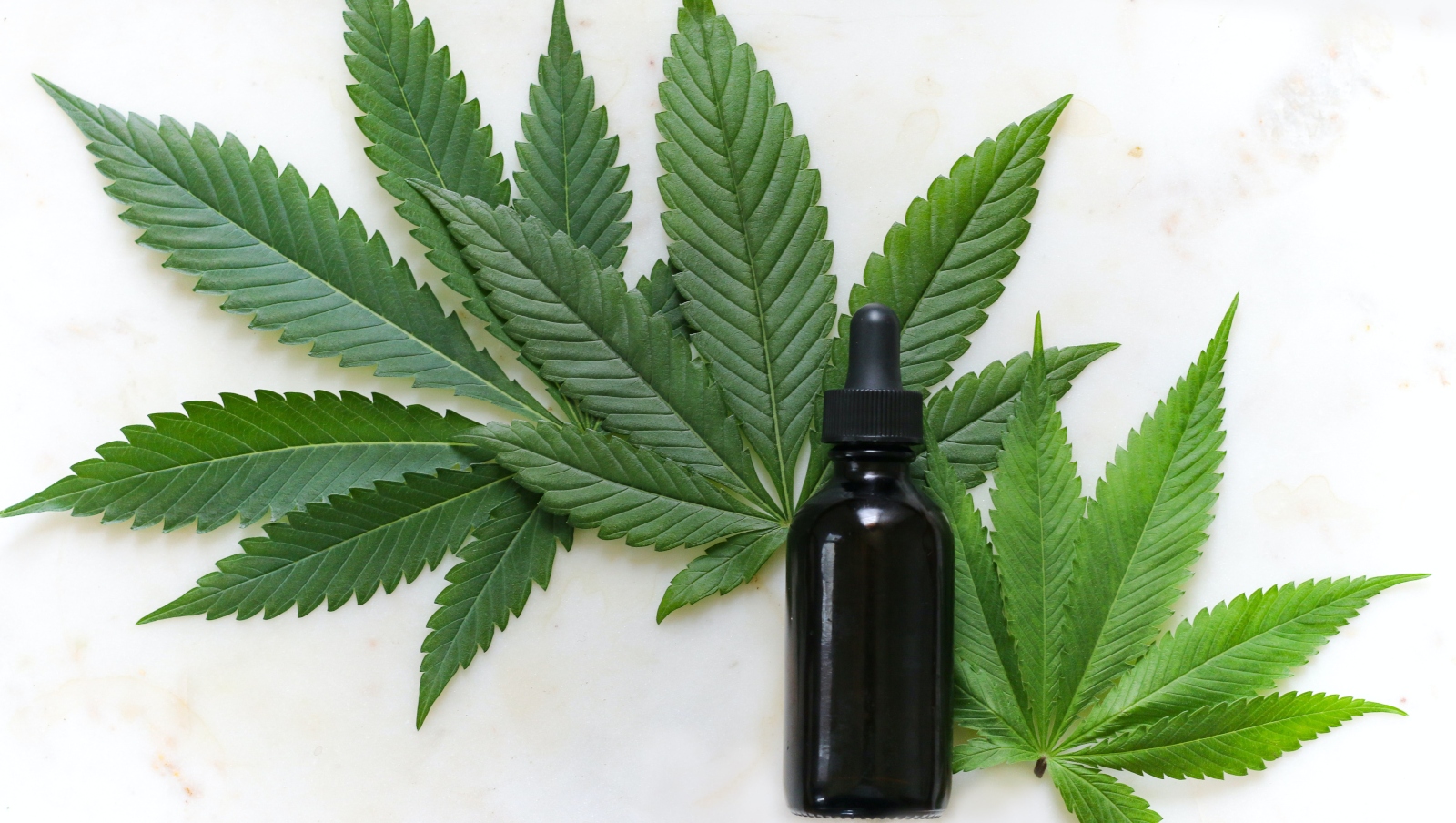 Cannabis oil was found effective in alleviating symptoms of autism in preclinical trials. Photo by Kimzy Nanney on Unsplash