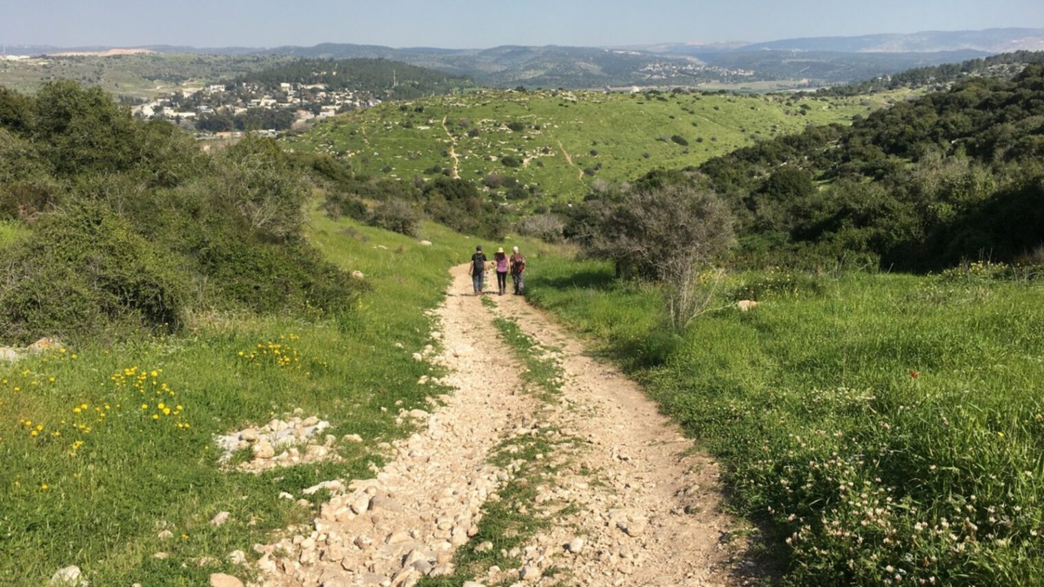 Hikers in the Lupine Hill area of the Elah Valley where David defeated Goliath. Photo by Brian Blum