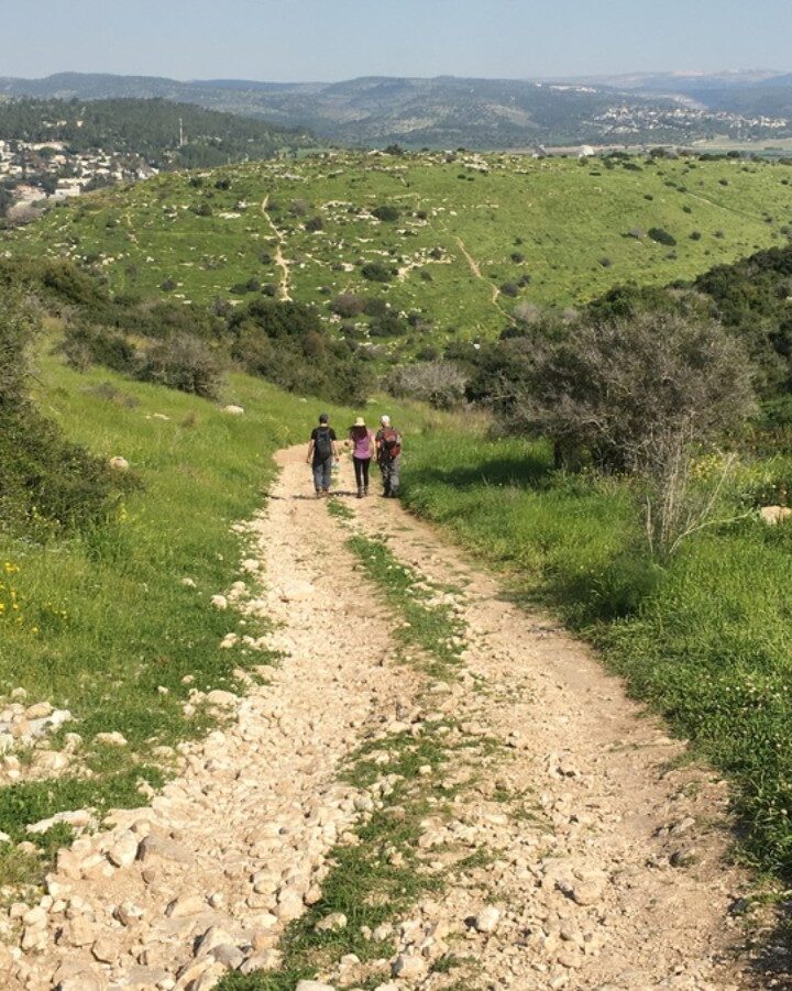 Hikers in the Lupine Hill area of the Elah Valley where David defeated Goliath. Photo by Brian Blum