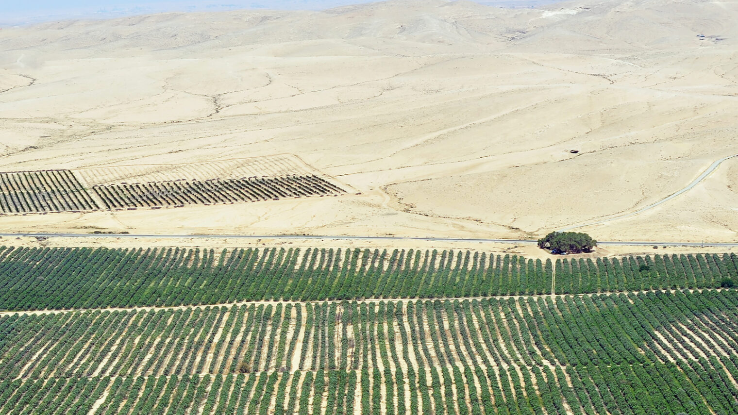 Can Israel help green the world, not just its own desert? Photo via Shutterstock