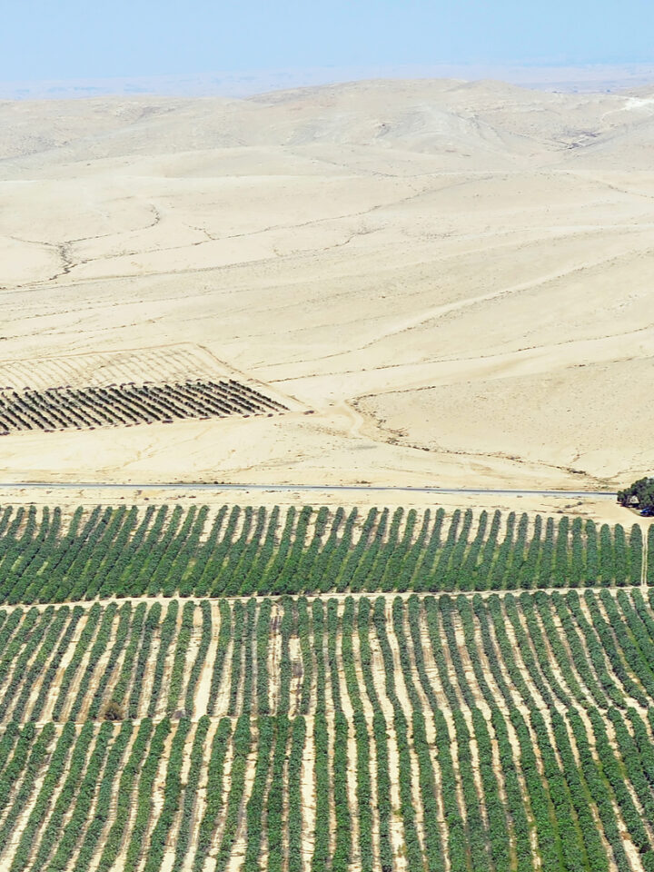 Can Israel help green the world, not just its own desert? Photo via Shutterstock