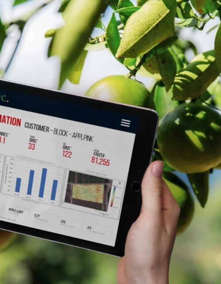 FruitSpec aims to cut fruit loss by accurately predicting yield and fruit size. Image courtesy of FruitSpec