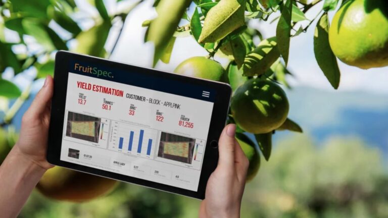 FruitSpec aims to cut fruit loss by accurately predicting yield and fruit size. Image courtesy of FruitSpec