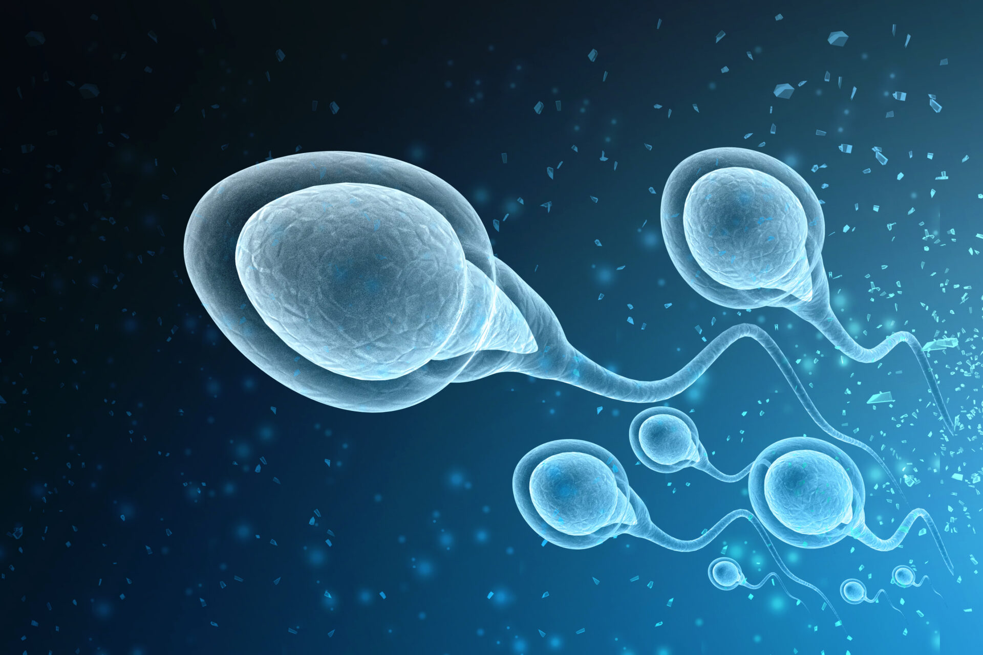 A 3D rendering of human sperm. Illustration by White Markers via Shutterstock