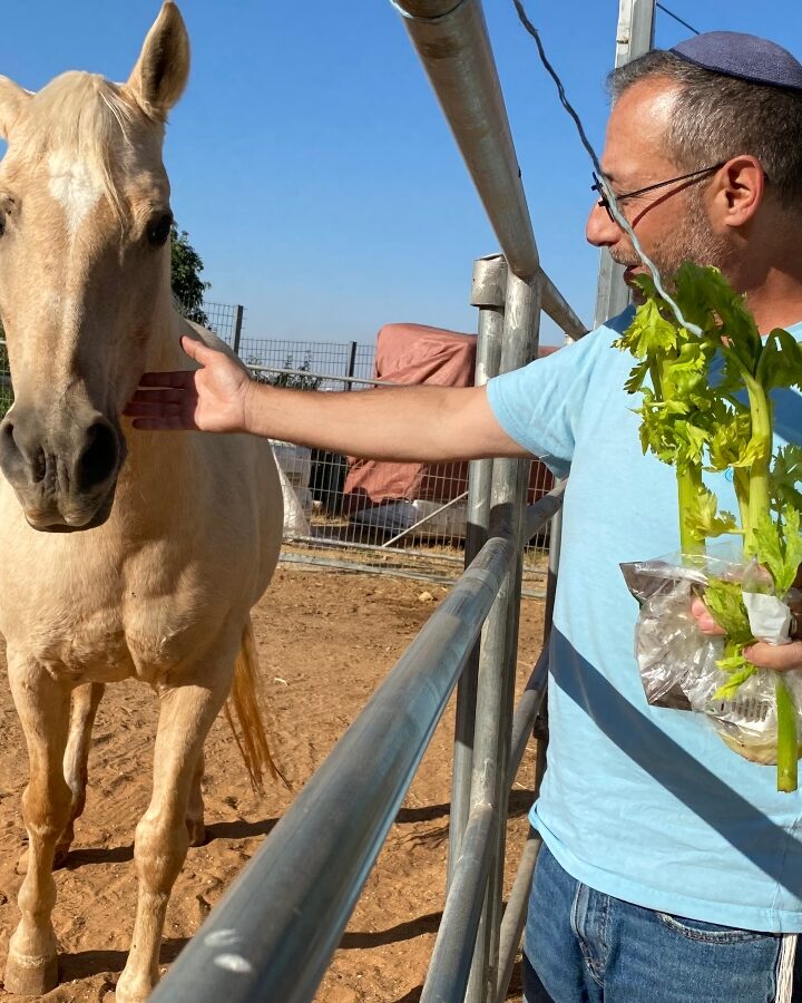 Dr. Yoni Yehuda with Venus at the Havayot Center. Photo by Abigail Leichman