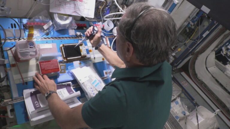 Israeli astronaut Eytan Stibbe performing the CRISPR experiment on the International Space Station. Photo courtesy of the Ramon Foundation and Israel Space Agency