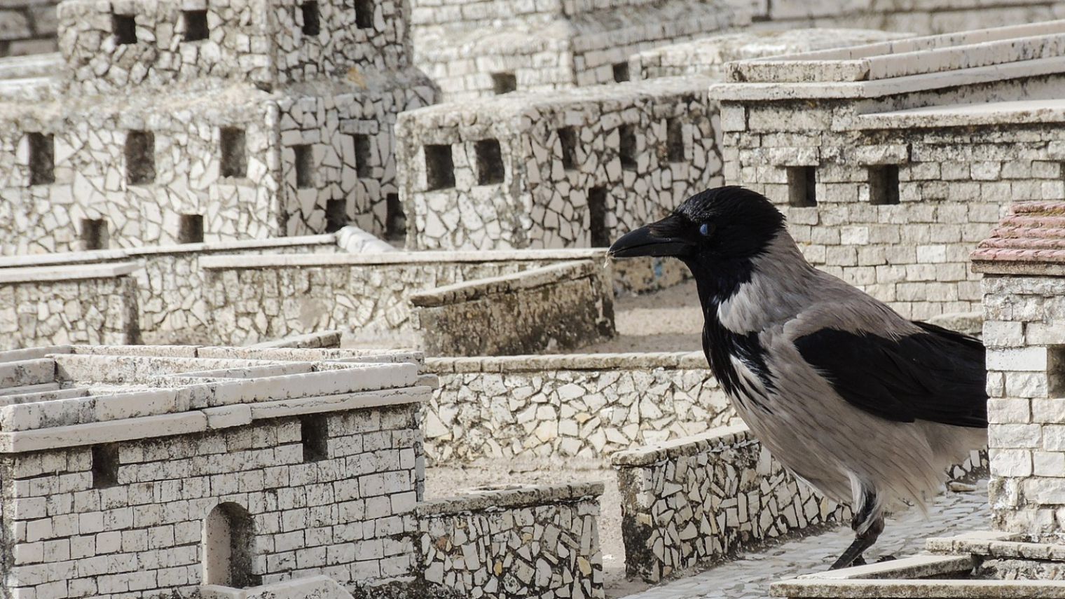 A crow looks like a giant among the miniature models of Jerusalem in the Second Temple Period. Photo by Michael MK Khor via Wikimedia Commons