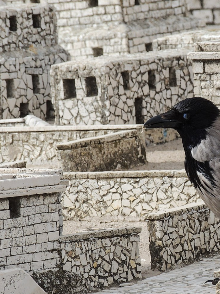 A crow looks like a giant among the miniature models of Jerusalem in the Second Temple Period. Photo by Michael MK Khor via Wikimedia Commons